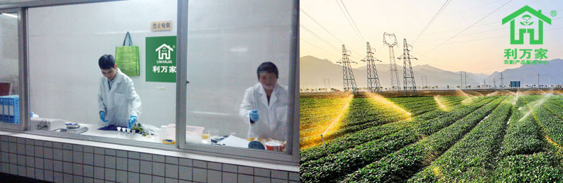 河源市蔬菜農(nóng)殘檢測