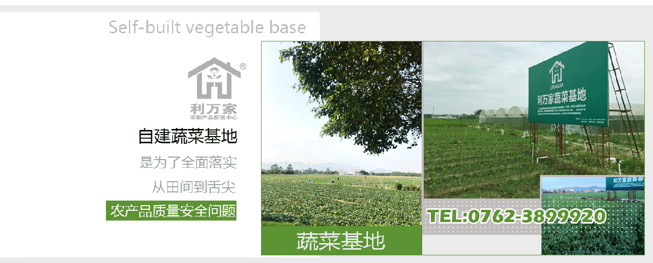 蔬菜基地jpg.jpg